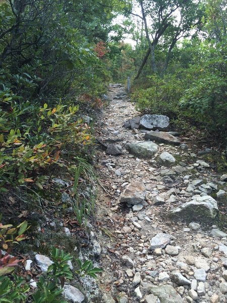 Steep, rocky trail (Tuscarora) heading back to the ridge