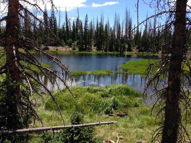 Lowder Pond