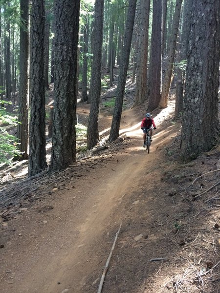 Fast and smooth section of Third Divide Trail.