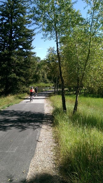 Pleasant section of the Eagle Valley Path, along the Eagle River