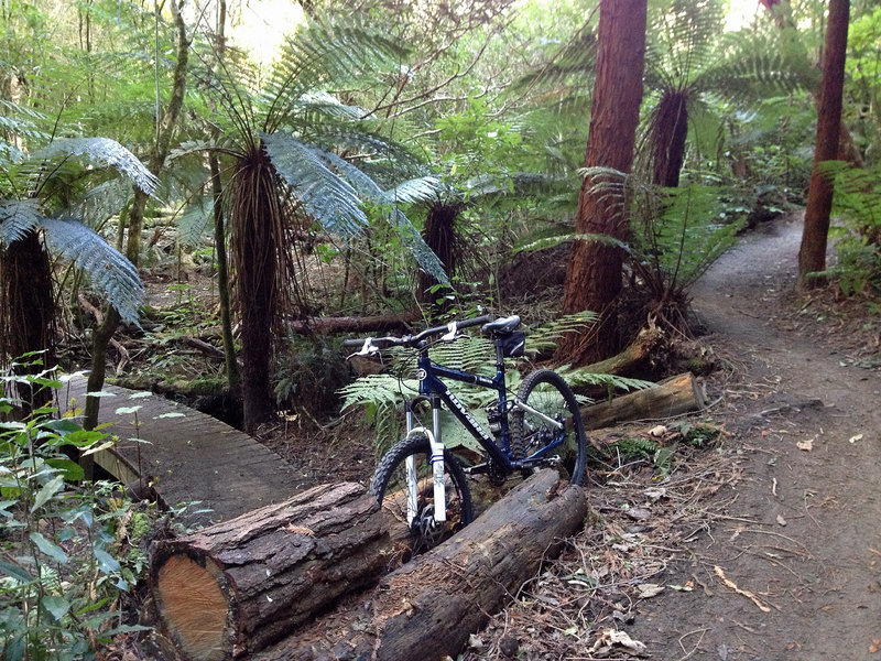 Beautiful riding along Wakari Creek near the junction with Slytherin.