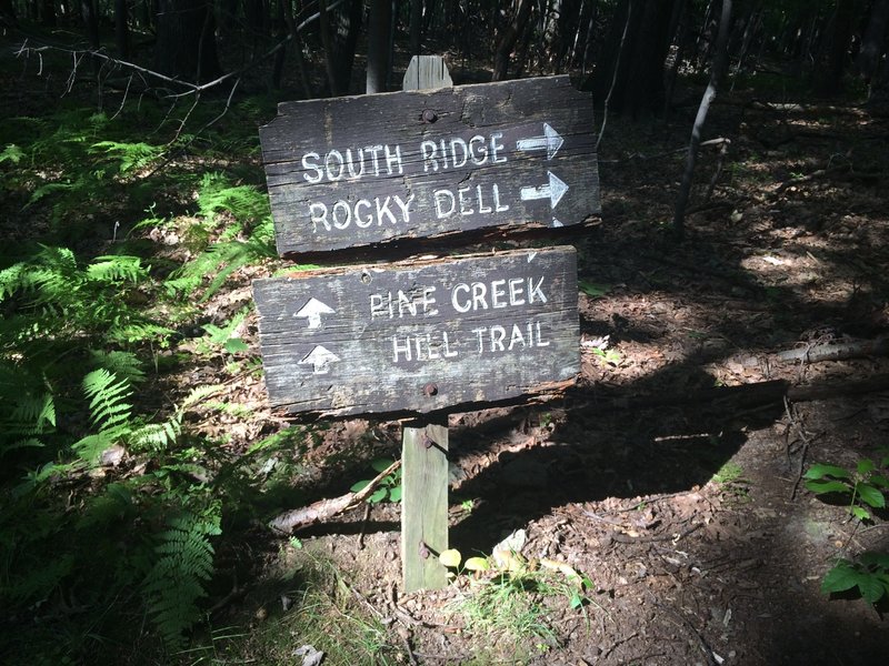 An original North Park trail sign!