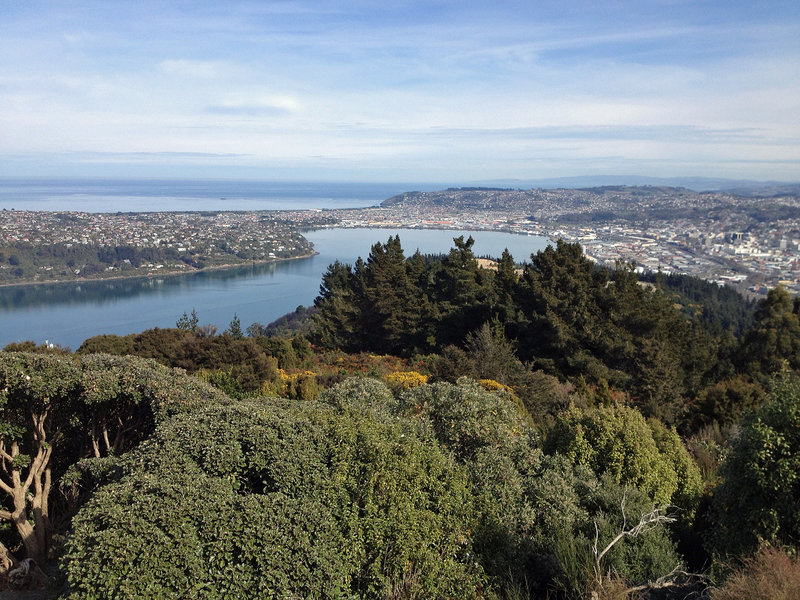 Great views from the summit of Signal Hill