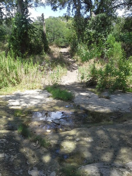 The unnamed creek crossing along the Goodwater Loop, next to the Prehistoric Campsite