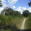 Goodwater Loop near Tejas Campground