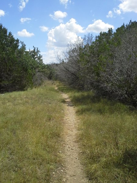 Awesome singletrack of the Goodwater Loop, along the banks of the North Fork San Gabriel River