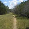 Awesome singletrack of the Goodwater Loop, along the banks of the North Fork San Gabriel River