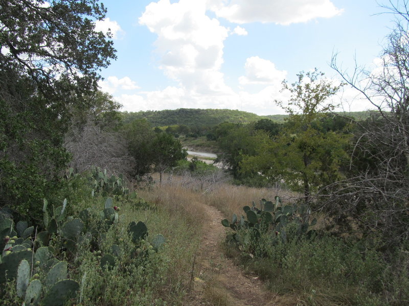 The Goodwater Loop weaving through prickly pear cactus along the north banks of the San Gabriel River