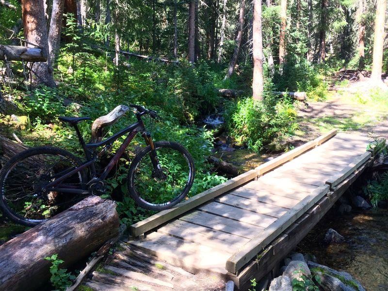 The Peaks Trail crosses many pretty little streams