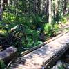 The Peaks Trail crosses many pretty little streams