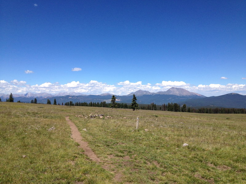 Looking back on the trail in the nice Sargents Mesa area