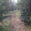 And it goes on like this. This is a better picture of the trail. Usually only gets worse.