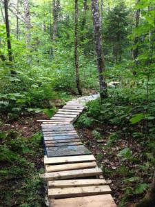 Boardwalk in a low section of trail.