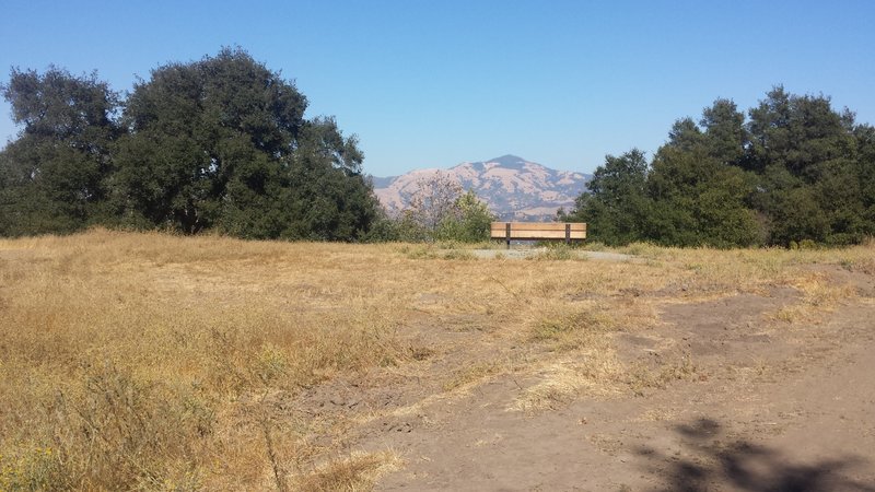 View of Mt Diablo from near the intersection of Las Trampas and the Madrone trail