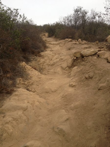 The rock gardens will throw you over your handlebars faster than you expect. Lean back!