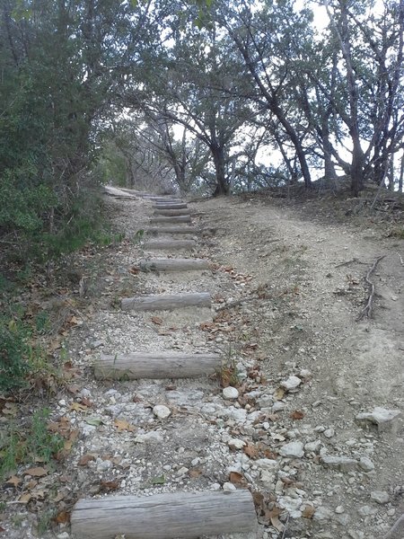 Looking northwest towards the Jim Hogg Hollow overlook along the Goodwater Loop