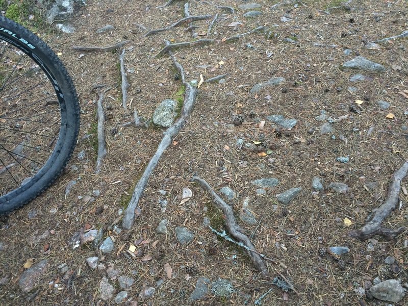 The ground beneath my tires.