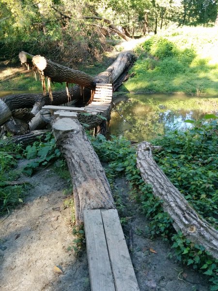 Tree bridge over Nine Mile Creek. It's rideable if you dare.