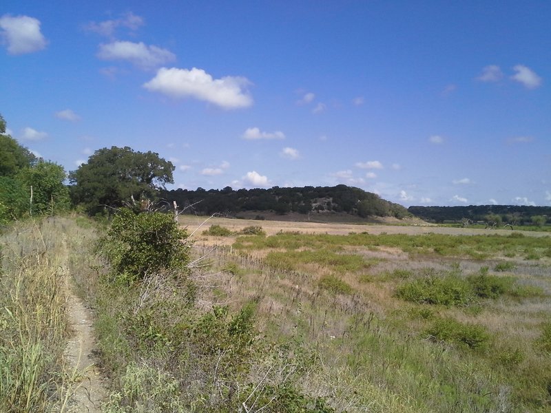 Looking north across the Sycamore Hollow of the Goodwater Loop.
<br>
This section of trail is running atop an old dam/retention wall