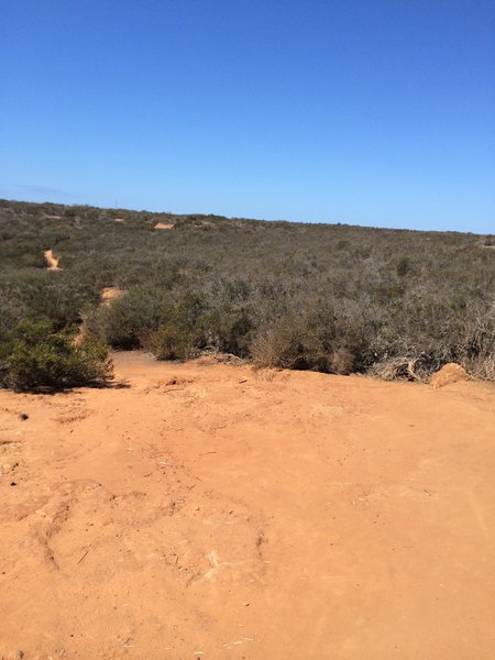 View from the top of the mesa.