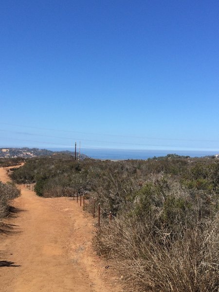 Trail along habitat restoration.