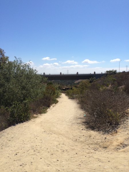 Trail to Los Penasquitos Canyon Preserve.