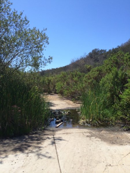 Creek crossing