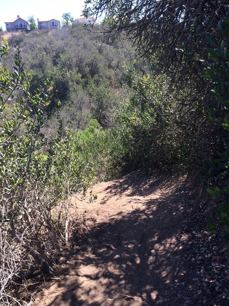 Switchback/step up. View from above.