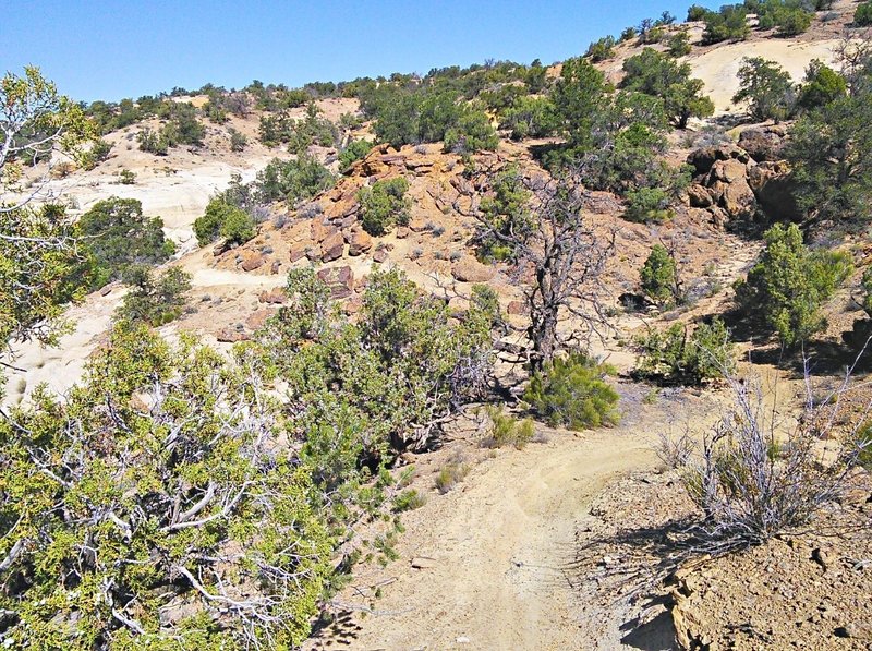 Singletrack contours along the edge of Pinon Mesa in this section