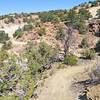 Singletrack contours along the edge of Pinon Mesa in this section