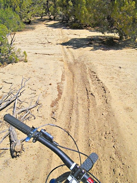 Arroyo crossings are sandy but usually rideable