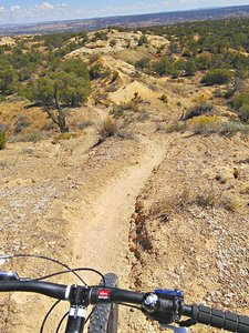 Sections of narrow sand ridge discourage motorized use, preserving the singletrack