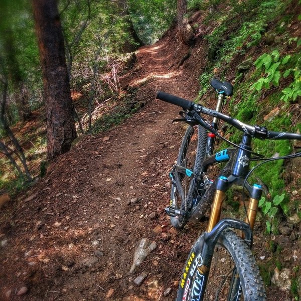 My Yeti SB95C taking a quick break along Shorthorn in the White Ranch Open Space Park.