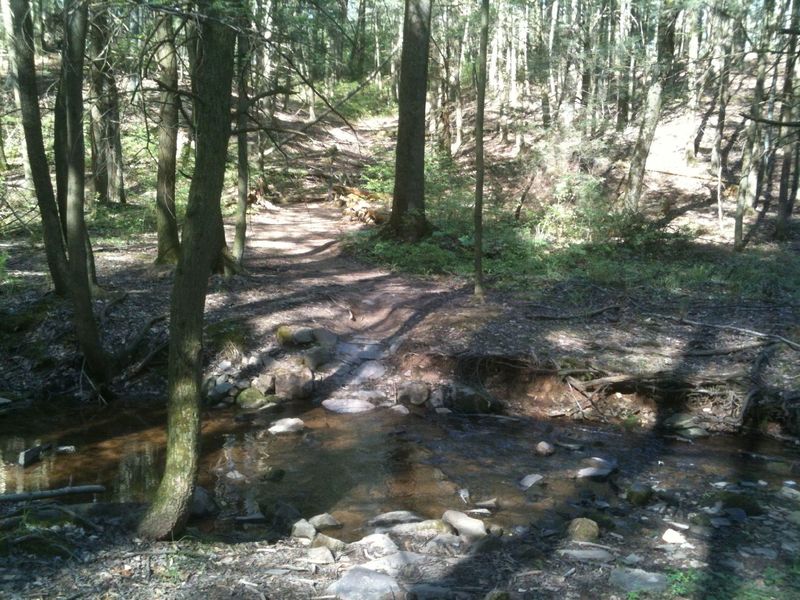 Solid armored creek crossing, one of the many nice features that SAMBA placed in the trail.