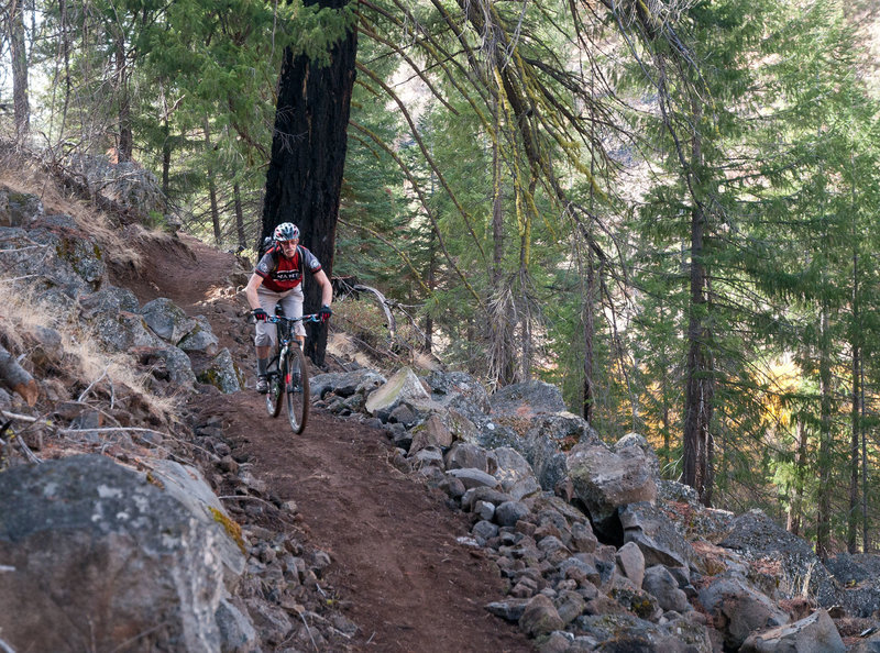 South Side Trail Mountain Bike Trail Susanville California