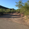 The unmarked exit from paved road onto singletrack on the Robles Loop from Genser Trailhead. Photo is looking south.