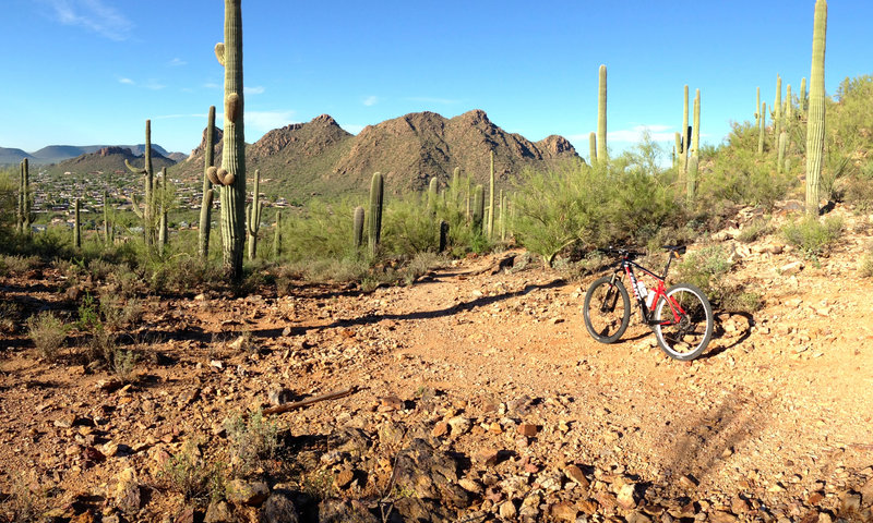 The crest of the hill on Bittersweet Trail rewards with amazing views to the east and west. This photo is looking west towards the fast, fun descent that is your reward for making the climb.