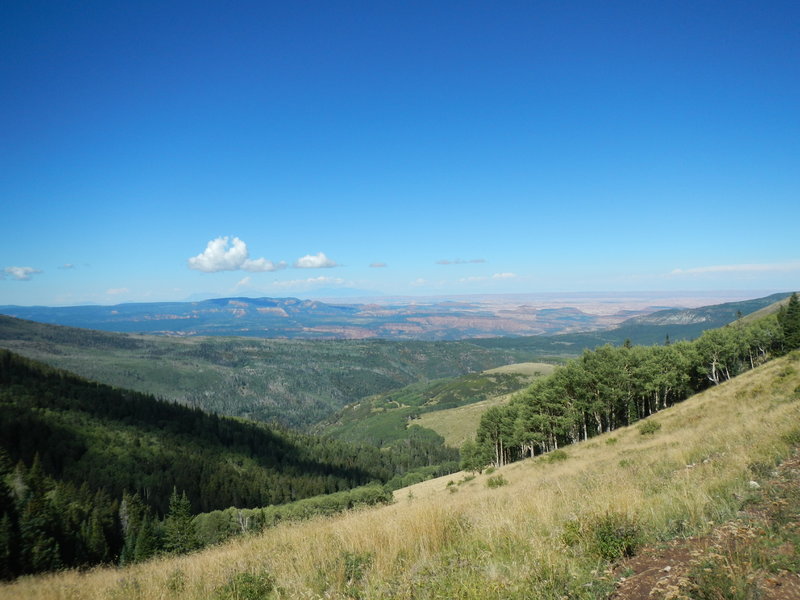 The upper part of the Robertson Pasture Trail descent alternates between spectacular views across Canyonlands National Park and dark forest sections reminiscient of British Columbia or California redwood groves.