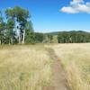 This is probably Robertson Pasture, the feature for which the trail is named.