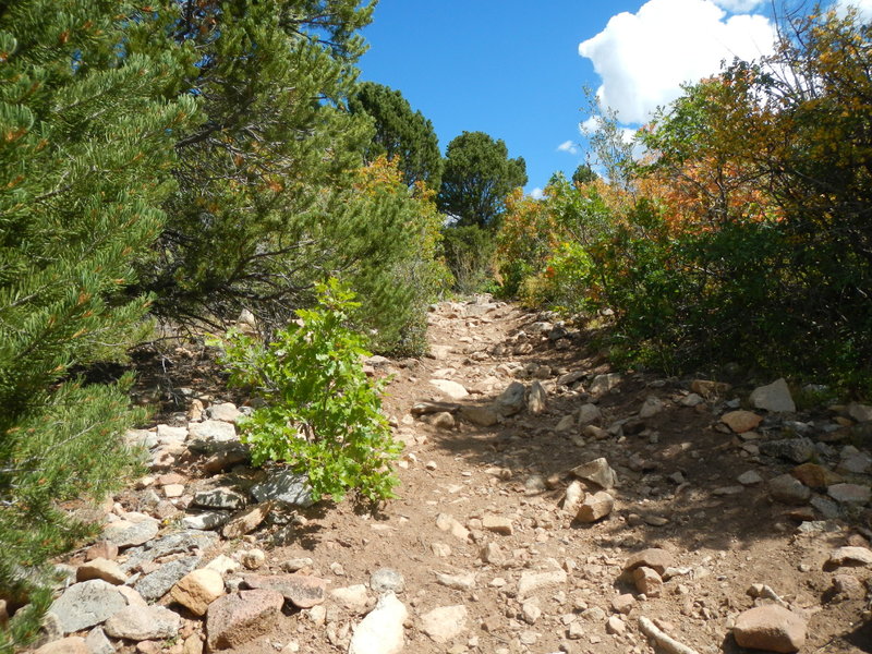 As you approach Foy Lake (a/k/a Spring Lake on some maps), there are a handful of difficult rocky climbs. But they're short.