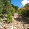 As you approach Foy Lake (a/k/a Spring Lake on some maps), there are a handful of difficult rocky climbs. But they're short.