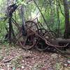 Site of an old oil well...on the Oil Well Trail.