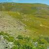 Colorado Trail with Sheep Mountain to right