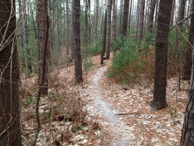 Robinson state discount park mountain biking