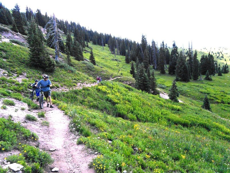 Riders and hikers