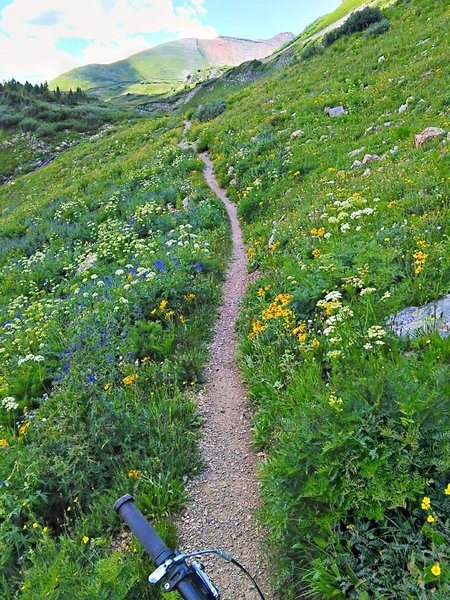 Trail tread is generally good with muskeg in spots