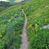 Trail tread is generally good with muskeg in spots