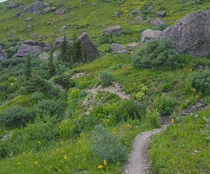 Winding meadow trail below Twin Sisters East