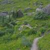 Winding meadow trail below Twin Sisters East