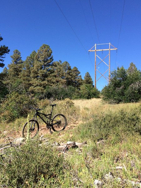 Powerline Trail at the west rim of Martinez Cr. canyon.
